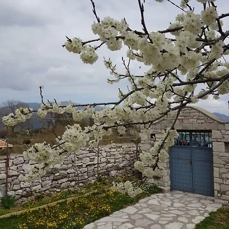 Bardhi * Tepelene